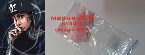 ПСИЛОЦИБИНОВЫЕ ГРИБЫ Пересвет