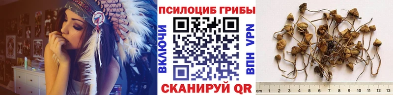 OMG онион Михайлов Галлюциногенные грибы GOLDEN TEACHER